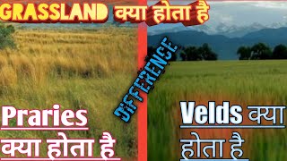 Difference between Prairies and Velds  What is Grassland [upl. by Mildrid515]