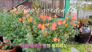 세컨하우스식쇼핑의 계절새로산모종amp묘목구경country garden life🍄🌸🌾🌲🌿 [upl. by Magdaia102]