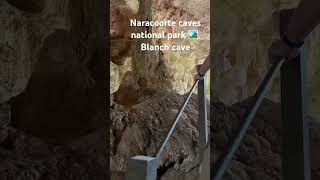 Naracoorte caves national parks 🏞️ South Australia 🇦🇺 cave travel everyone highlights [upl. by Enirol]