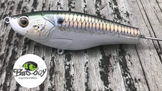 How to paint a realistic shad [upl. by Ahsiet956]