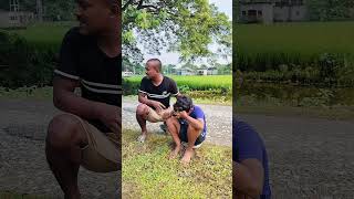 কষ্ট 😭 shorts short shortvideo funny reels comedy [upl. by Nivart593]