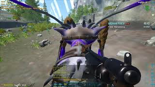 Ark Official PVE Solo Alpha Maewing PoachNo cheats [upl. by Marbut53]