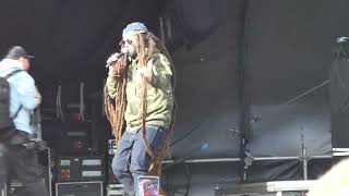 Alborosie amp Shengen Clan  Rastafari Anthem 2024 Reggae Woods Rotterdam NL [upl. by Pellet]