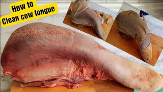 Clean cow Tongue Simple way to peel beef tongue  Do this to enjoy cow Tongue [upl. by Eidoc]