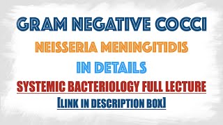 Neisseria Meningitidis Meningococci  virulence factorsClinical manifestations Lab diagnosis [upl. by Uok]