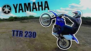 Nuevo Yamaha TTR 230 de Ema parte 1Honda Tornado Corven TriaxEnduro REC [upl. by Arnon45]