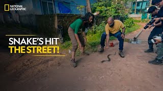 Snake’s Hit the Street  Snakes SOS Goa’s Wildest  Full Episode  National Geographic [upl. by Alves]