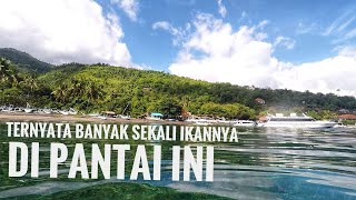 SERUNYA SNORKELING DI PANTAI AMED BALI IKANNYA BANYAK [upl. by Nnayllas]