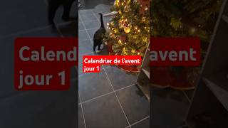 🎅 Calendrier de lAVENT jour 1 🎁 christmas cadeau calendrierdelavent2024 [upl. by Ahserkal]