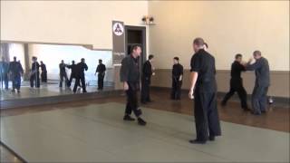 Bujinkan Kokusai Renkoumyo  9th Kyu Kamae review [upl. by Fleta]