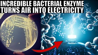 Groundbreaking Bacterial Enzyme That Generates Electricity From Air [upl. by Eelak]