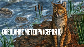 Аудиокнига КОТЫВОИТЕЛИ« Обещание Метеора»«Западня» Серия 8 [upl. by Seravart]