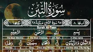 Quran 95 Surah AtTin The Fig Arabic and English translation with Audio HD [upl. by Ilesara]