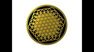 BMTH bring me the horizon  sempiternal lifes flower [upl. by Secnirp541]