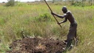 KITEGEZA KI OKULOOTO NGOLIMA DREAMING WHEN DIGGING [upl. by Marbut]