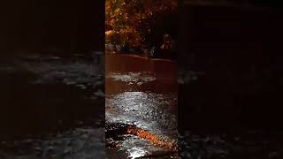 Calming night rain in the village of Indonesia White noise for sleep ASMR [upl. by Nyrek]