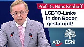 LGBTQLinke in den Boden gestampft – Prof Dr Hans Neuhoff AfD [upl. by Ocramed541]