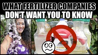 NEW FERTILIZER FOR ORCHIDS  HOMEMADE ORCHID FERTILIZER RESULTS [upl. by Shir]