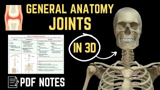 Classification of Joints  📝For PDF Notes Check Description Box👇 General Anatomy anatomydecoded [upl. by Jay]