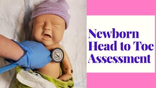 NEWBORN HEAD TO TOE ASSESSMENTOB SKILLS DEMO [upl. by Enrak]