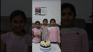 Kids Making Lady Bug Theme Cake [upl. by Enifesoj]