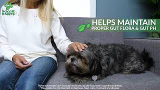 Probiotics for Dogs  Tasty Soft Chews to Promote Gut Health [upl. by Zipnick278]