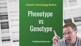 Genotype vs Phenotype Whats the Difference  Genetic Genealogy Explained [upl. by Boaten826]