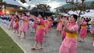 名桜エイサー⑵ 2024年11月23日 名桜大学祭 [upl. by Treblig]