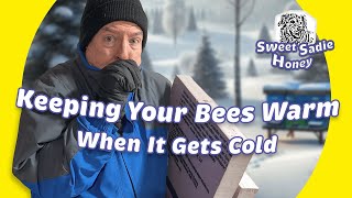 Winterizing Your Beehives Insulation Tips amp Techniques for Healthier Bees [upl. by Aicnarf]