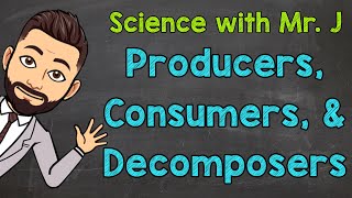 Producers Consumers and Decomposers  Ecosystems [upl. by Nnylassej]