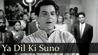 Ya Dil Ki Suno  Dharmendra  Sharmila Tagore  Anupama  Hemant Kumar  Evergreen Hindi Songs [upl. by Bonny]