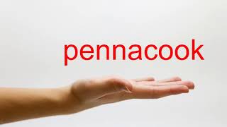 How to Pronounce pennacook  American English [upl. by Kolodgie]