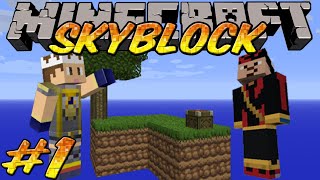 New beginnings  Skyblock Survival Ep1 [upl. by Airdnola]