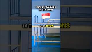 Living Conditions in Singapore Dorms [upl. by Sihonn194]