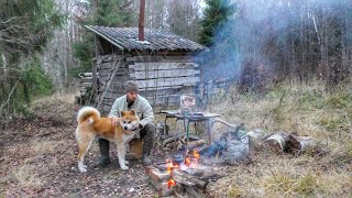 Found an abandoned cabin in the forest Spent the night Repaired the roof Cleaning the area [upl. by Kosaka]