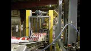 Hamer Fully Automated Bagging System 50 lbs Salt Bags [upl. by Ametaf138]