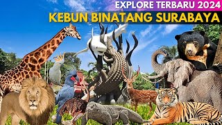 KEBUN BINATANG SURABAYA Terbaru ‼ Kondisi Terkini Dan Harga Tiket KBS [upl. by Suaeddaht]