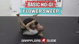 Basic NoGi Flower Sweep [upl. by Adnauqahs]