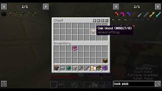 Minecraft live stream RLCraft [upl. by Gambrell752]