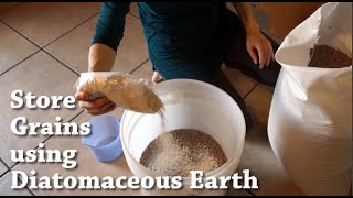 Diatomaceous Earth for Storing Grains  Food Storage  Prepper [upl. by Herbst]