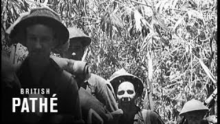 With The Australians In New Guinea 1943 [upl. by Ahlgren177]