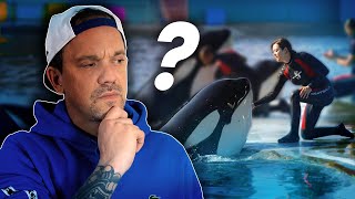 LE PROBLÈME AVEC SEAWORLD  TOOPET [upl. by Yeldua613]