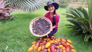 O melhor Chocolate Artesanal feito na roça Cleide Lifestyle [upl. by Pallaton]