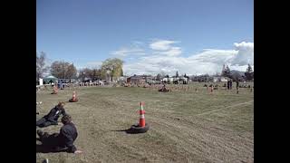 Grass Kart interschool race start [upl. by Evaleen]