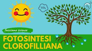 🌞🌳 FOTOSINTESI CLOROFILLIANA spiegata ai bambini  scuola primaria [upl. by Sura779]