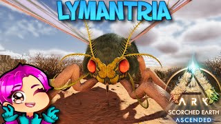 EASY WAY TO TAME A LYMANTRIA  SCORCHED EARTH  Ark Survival Ascended [upl. by Milo]