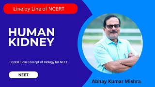 Human Kidney for NEET ncert NEET kidney abhaysir [upl. by Festus]