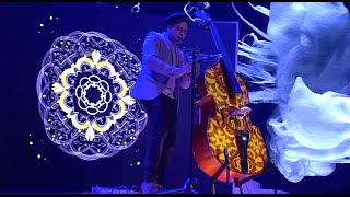 Double Bass Projection Mapping amp Looping  Adam Ben Ezra Solo [upl. by Dinsmore]