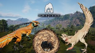 The Perfect Nesting Spot  The Great Hypsi Colony Part 2  Hypsilophodon Gameplay  The Isle Evrima [upl. by Farra380]