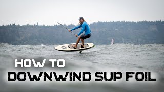 Downwind SUP foiling  How to start [upl. by Aicilec]